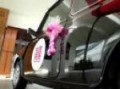 mini cooper wedding ^^